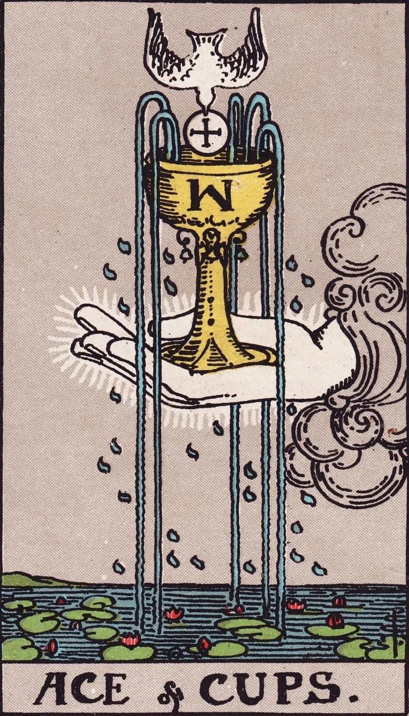 Ace of Cups