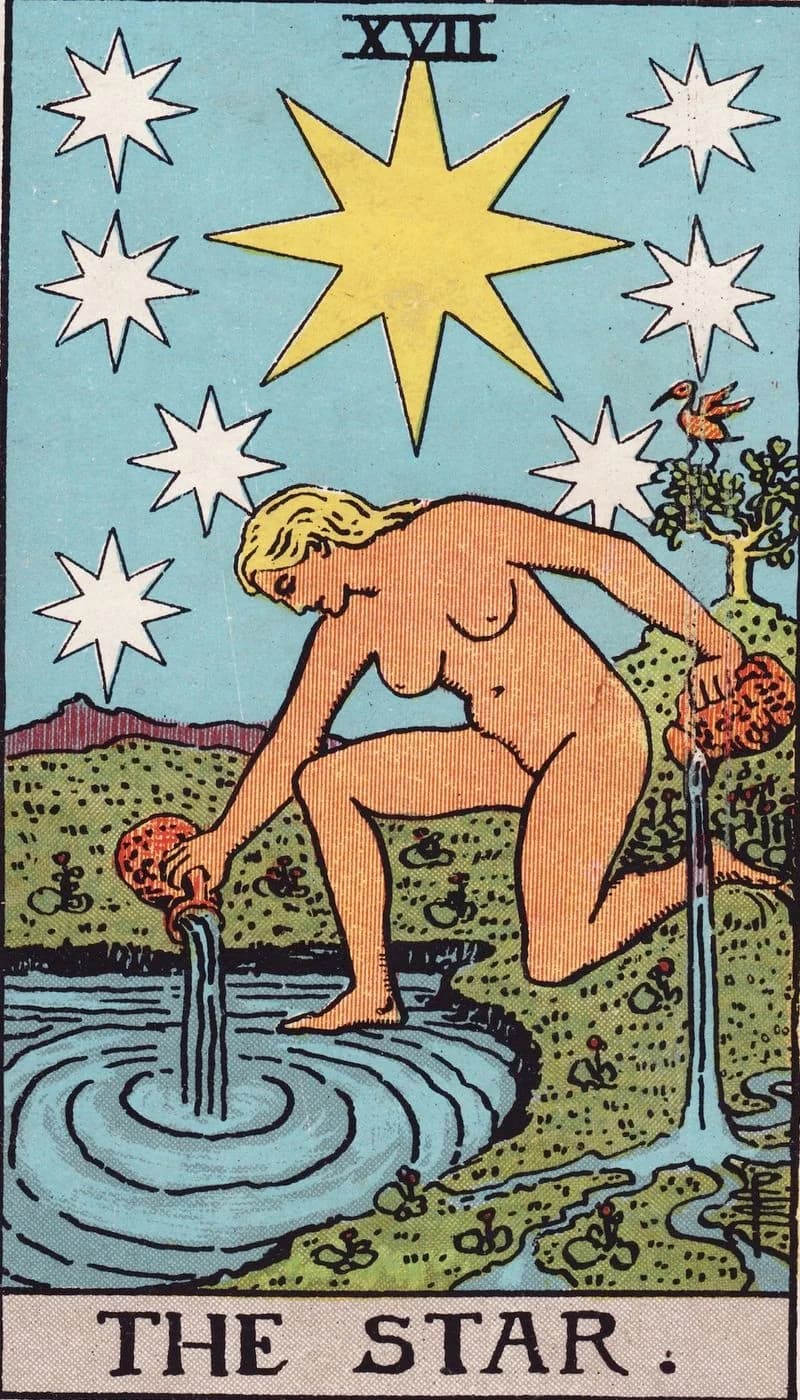 The Star