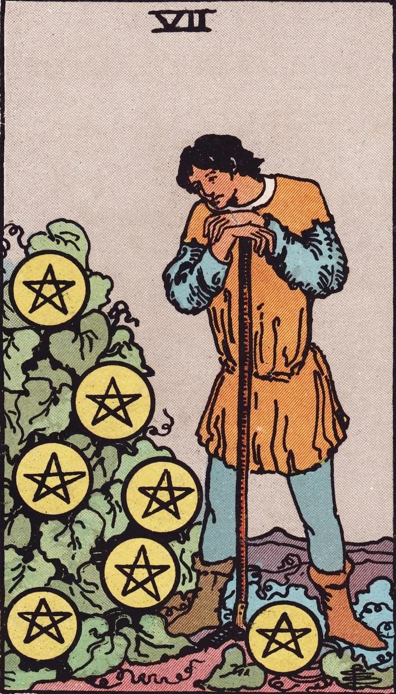 Seven of Pentacles