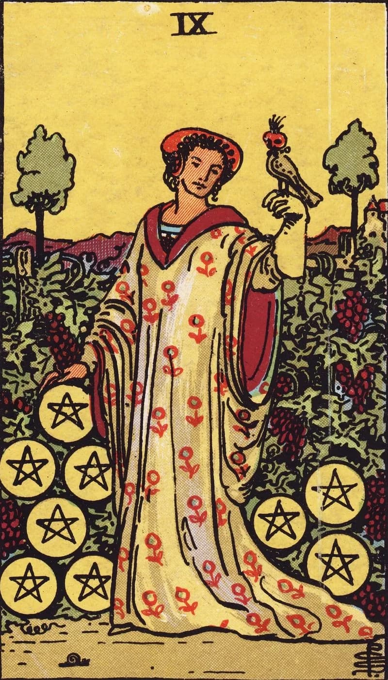 Nine of Pentacles